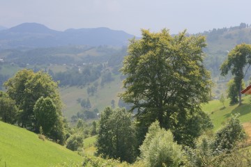 Blick von Magura